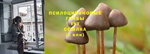 ПСИЛОЦИБИНОВЫЕ ГРИБЫ Абаза