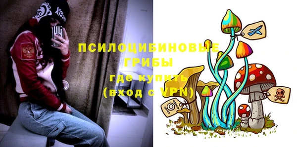 ПСИЛОЦИБИНОВЫЕ ГРИБЫ Абаза