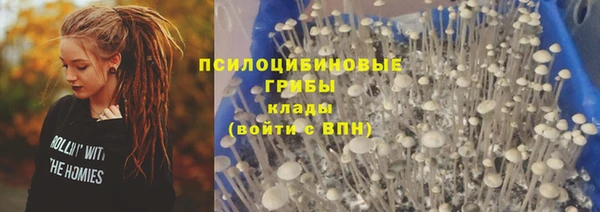 ПСИЛОЦИБИНОВЫЕ ГРИБЫ Абинск