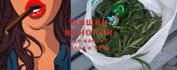 ПСИЛОЦИБИНОВЫЕ ГРИБЫ Абаза